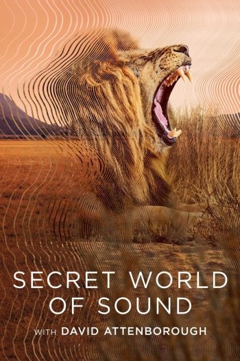 โลกลับแห่งเสียงกับเดวิด แอทเทนเบอเรอห์ Secret World of Sound with David Attenborough (2024) 3 ตอน