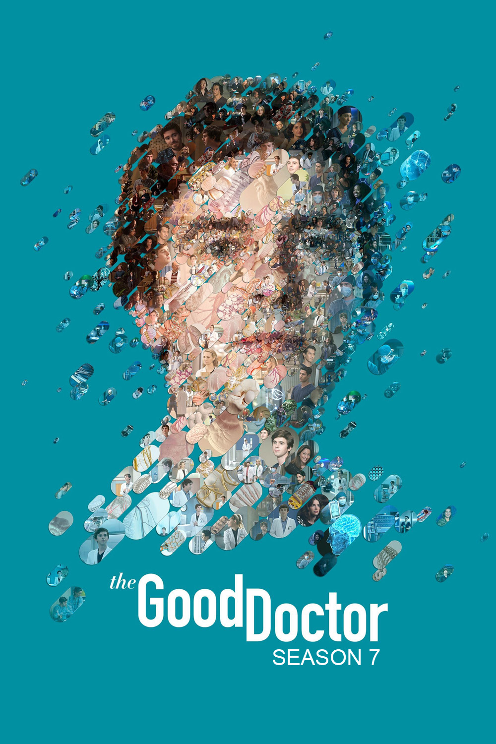 The Good Doctor Season 7 (2024) คุณหมอฟ้าประทาน ซีซั่น 7 {10 ตอนจบ}