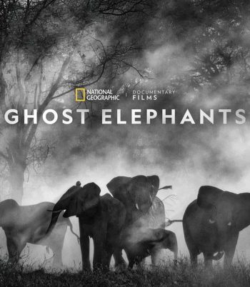 Ghost Elephants (2025)