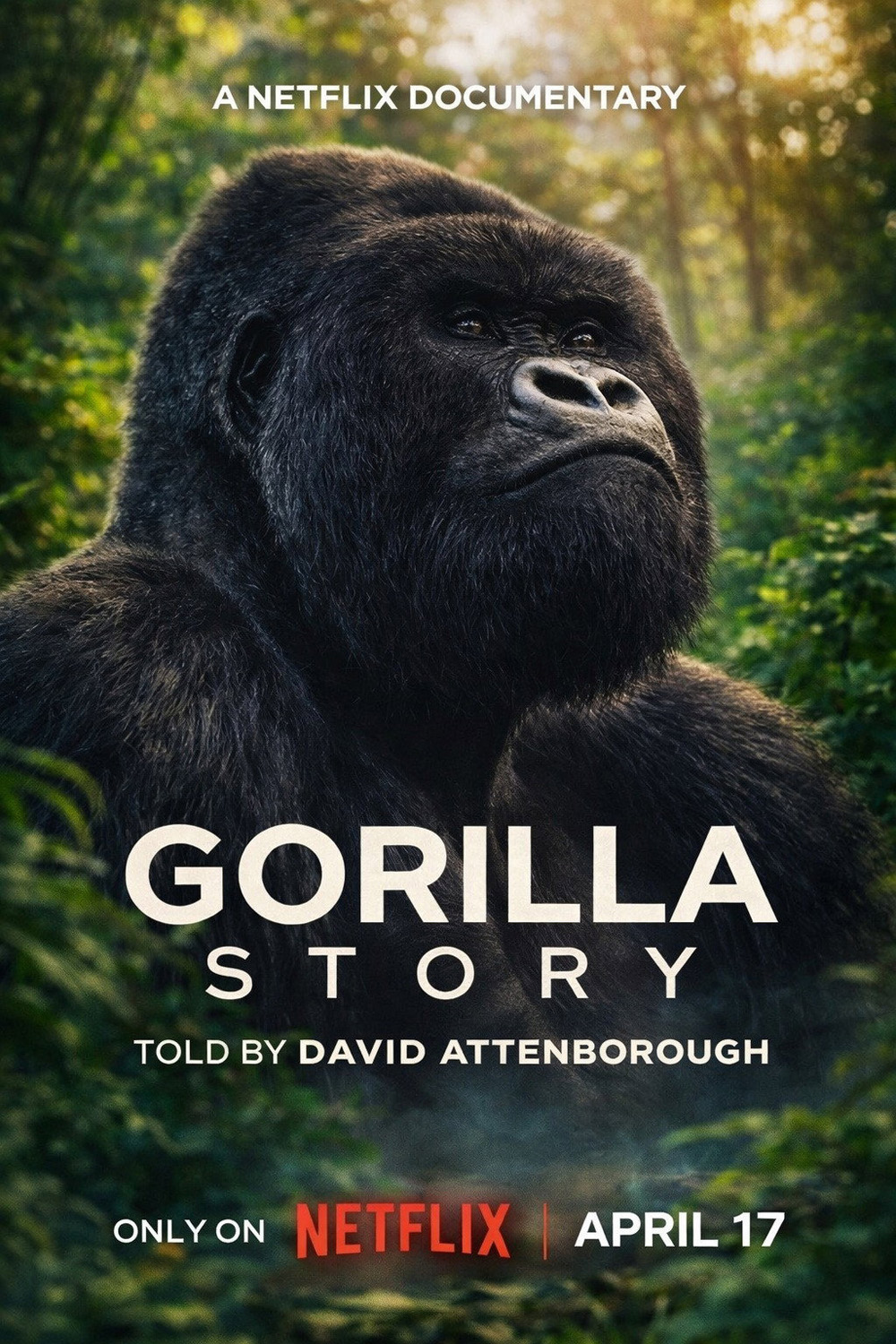A Gorilla Story Told by David Attenborough (2026) เล่าเรื่องกอริลลา โดยเดวิด แอทเทนเบอเรอห์