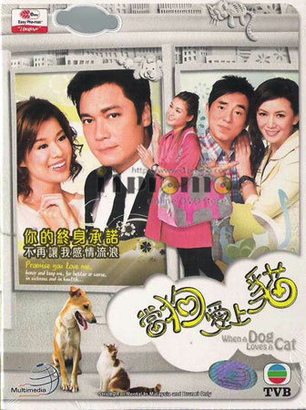 สายใยรักเจ้าโฮ่งน้อย When A Dog Loves A Cat (หลอเจียเหลียง หูซินเอ๋อ)