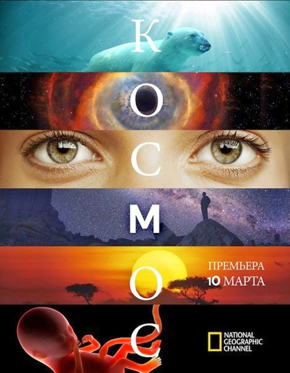 Cosmos A Spacetime Odyssey Season 1