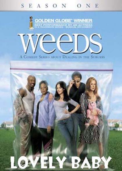 Weeds Season 1 : หม่ายชุลมุน ปี 1
