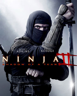 Ninja Shadow of a Tear (2013) นินจานักฆ่าพญายม 2