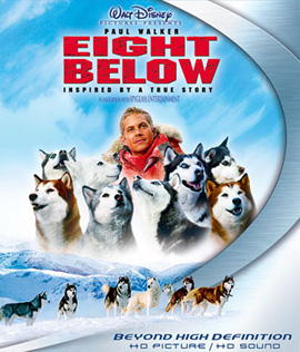 Eight Below (2006) ปฏิบัติการ 8 พันธุ์อึดสุดขั้วโลก