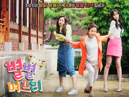 Sisters in Law / All Kinds of Daughters in Law