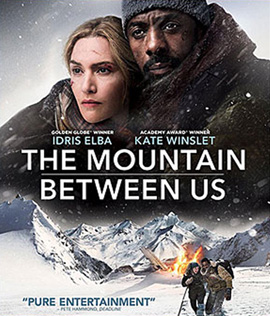 The Mountain Between Us (2017)