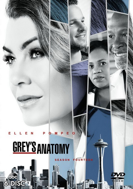 Grey's anatomy Season 14 แพทย์มือใหม่หัวใจเกินร้อย ปี 14 ( 24 ตอนจบ )