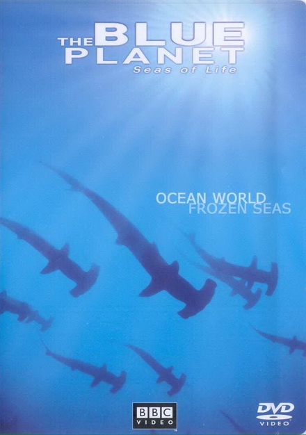 BLUE PLANET ตอน  ocean world frozen sea