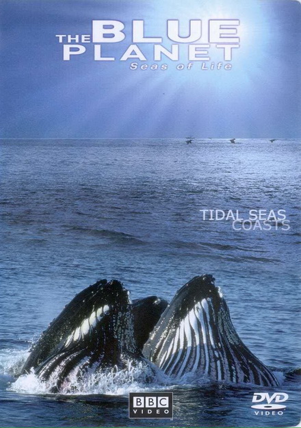 BLUE PLANET ตอน TIDAL SEAS COASTS