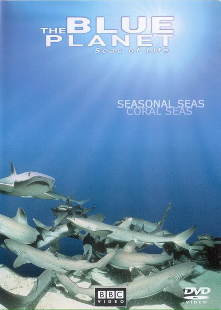 BLUE PLANET ตอน SEASONAL SEAS