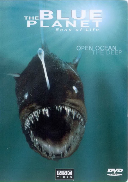 BLUE PLANET ตอน  Open Ocean The Deep