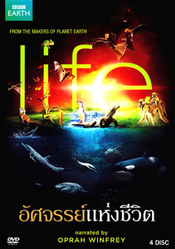 Life อัศจรรย์แห่งชีวิต