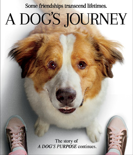 A Dog's Journey (2019) หมา เป้าหมาย และเด็กชายของผม 2