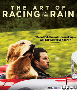 The Art of Racing in the Rain (2019) อุ่นไอหัวใจตูบ