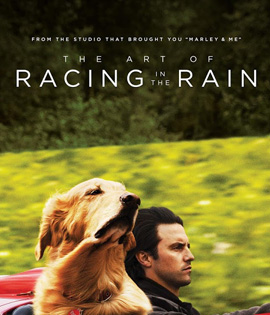 The Art of Racing in the Rain (2019) อุ่นไอหัวใจตูบ