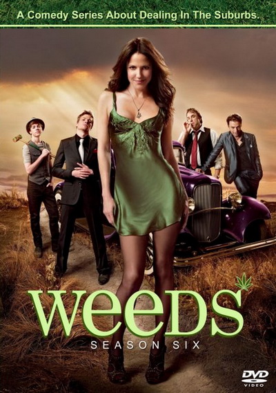 Weeds Season 6 : หม่ายชุลมุน ปี 6