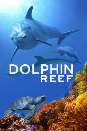 Dolphin Reef Disney อัศจรรย์ชีวิตของโลมา (2020)