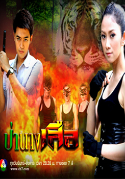 ป่านางเสือ