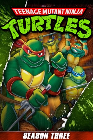 Teenage Mutant Ninja Turtles Season 3 ขบวนการเต่านินจา ปี 3 ( 26 ตอนจบ )
