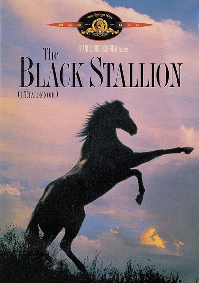 The Black Stallion (1979) อาชาเพื่อนยาก