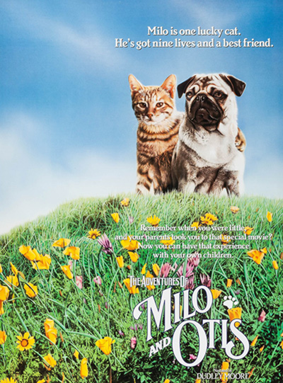 The Adventures of Milo and Otis (1986) แมวจ๋าหมาอยู่นี่