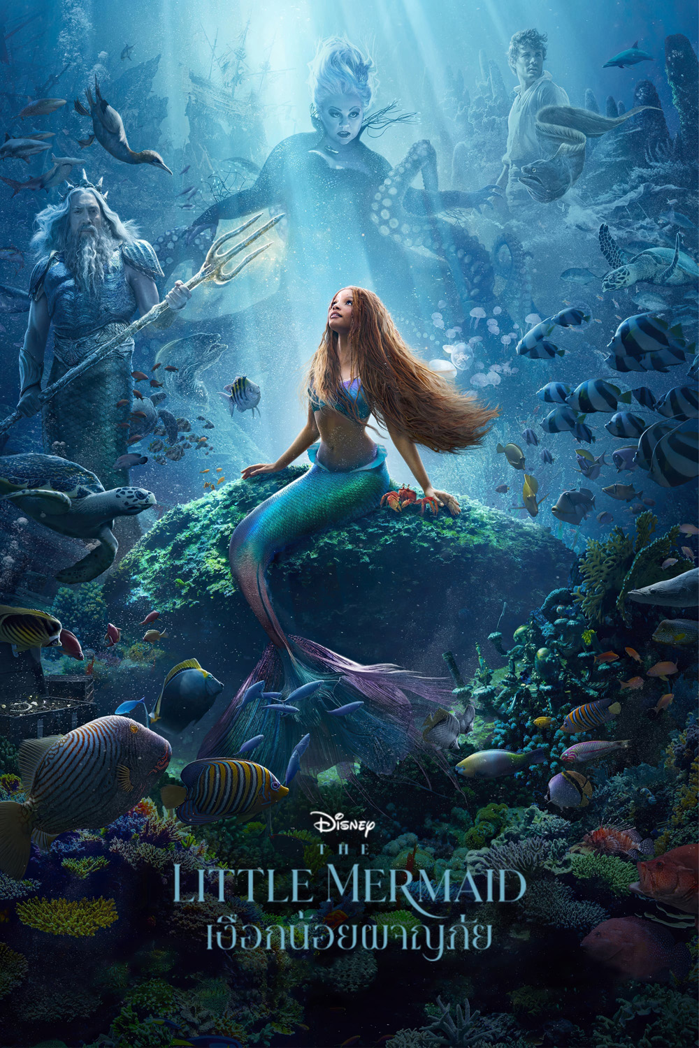 (Zoom ซูม) The Little Mermaid (2023) เงือกน้อยผจญภัย (ดูภาพตัวอย่างด้านใน)