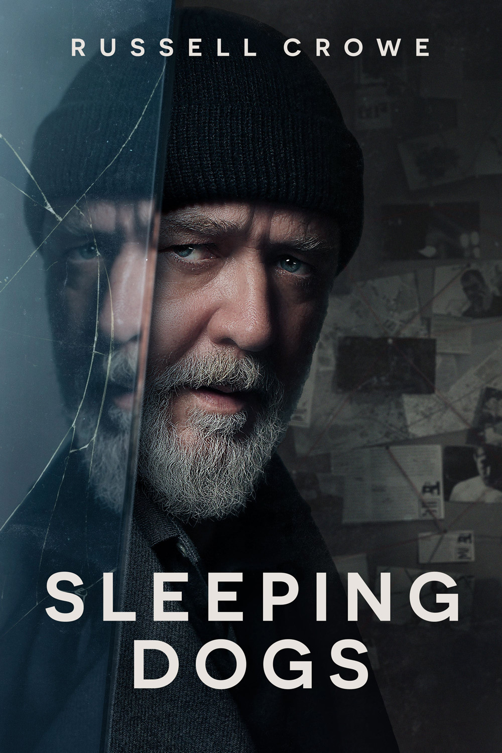 Sleeping Dogs 2024