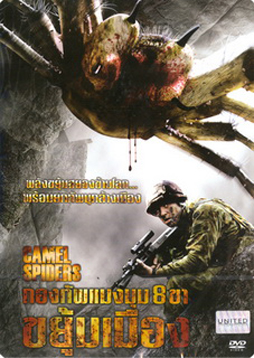 Camel Spiders กองทัพแมงมุม 8 ขาขยุ้มเมือง