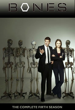 Bones Season 1 พลิกซากปมมรณะ ปี 1