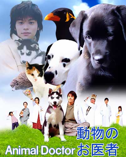 Animal Doctor (ยุ่งชมัดเป็นสัตวแพทย์)