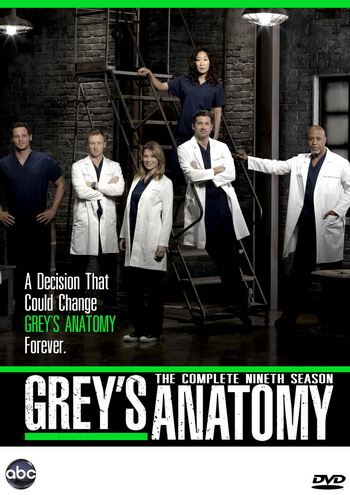 Grey's Anatomy Season 9 แพทย์มือใหม่หัวใจเกินร้อย ปี 9