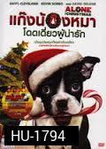 Alone for Christmas แก๊งน้องหมาโดดเดี่ยวผู้น่ารัก