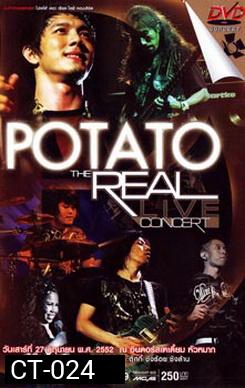 Potato The Real Live Concert บันทึกการแสดงสด โปเตโต้ เดอะ เรียล ไลฟ์ คอนเสิร์ต 