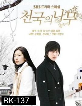 Tree of Heaven - สุดปลายฟ้า สัญญารักนิรันดร์