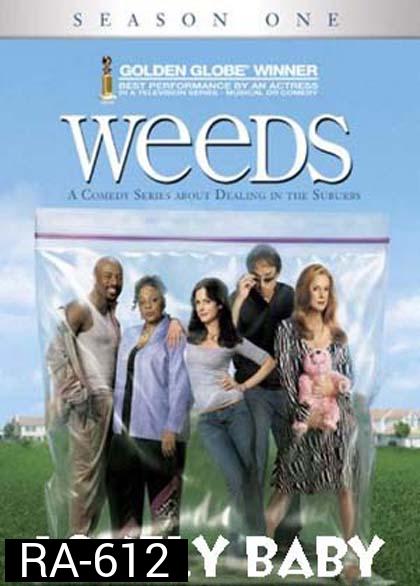 Weeds Season 1 : หม่ายชุลมุน ปี 1
