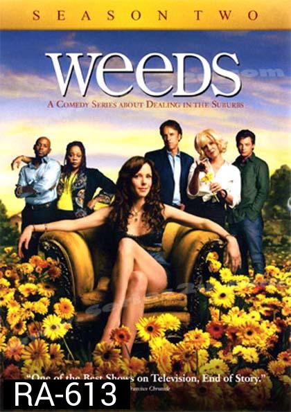 Weeds Season 2 : หม่ายชุลมุน ปี 2