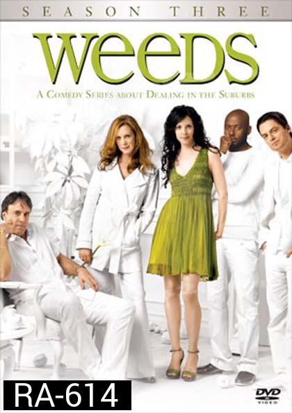 Weeds Season 3 : หม่ายชุลมุน ปี 3