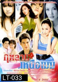 กุหลาบเหนือเมฆ 