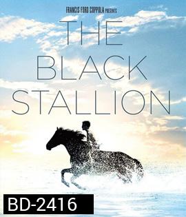 The Black Stallion (1979) อาชาเพื่อนยาก
