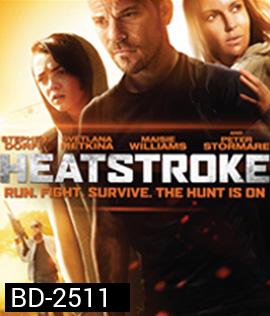 Heatstroke (2014) อีกอึดหัวใจสู้เพื่อรัก