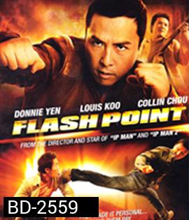 Flash Point (2007) ลุยบ้าเดือด