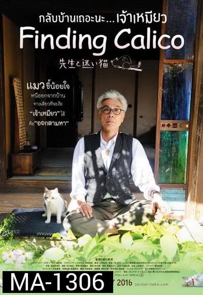 FINDING CALICO  กลับบ้านเถอะนะ เจ้าเหมียว