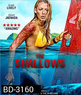 The Shallows (2016) นรกน้ำตื้น