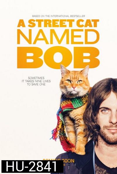 A Street Cat Named Bob