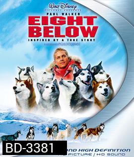 Eight Below (2006) ปฏิบัติการ 8 พันธุ์อึดสุดขั้วโลก