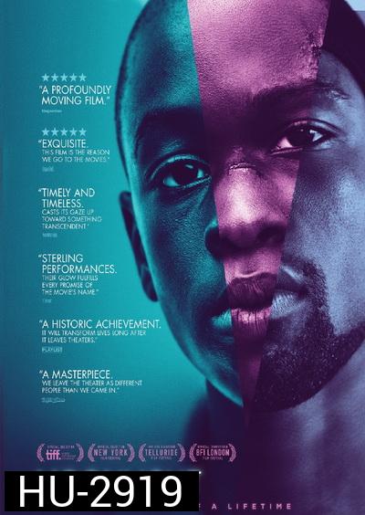 Moonlight มูนไลท์ ใต้แสงจันทร์ ทุกคนฝันถึงความรัก