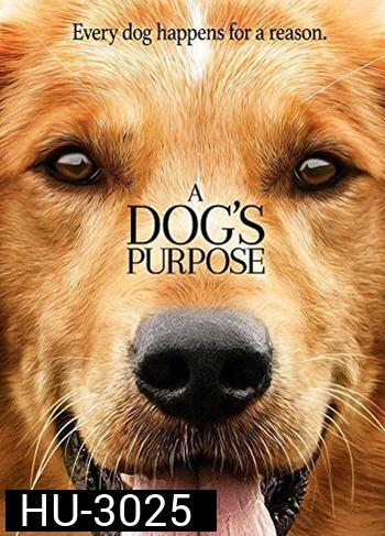 A Dog's Purpose หมา เป้าหมาย และเด็กชายของผม