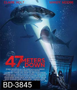 47 Meters Down (2017) 47 ดิ่งลึกเฉียดนรก