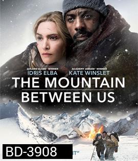 The Mountain Between Us (2017)